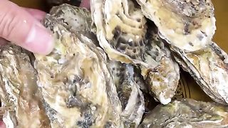 Yummy cooking Oyster recipe