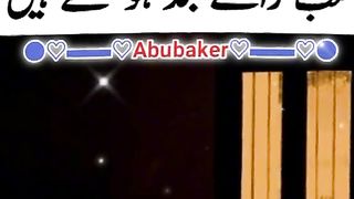 Hazrat Ali quotes in Urdu 95
