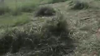 Cricket Ground Grass Cutting | Big Grass in Our Cricket Ground