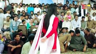 Mehak Malik  Jadan Char Gai  Latest Punjabi & Saraiki Song