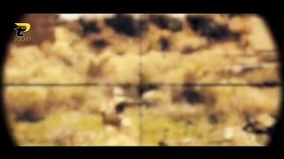 army special  song