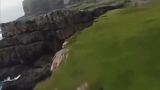 Natural video 110