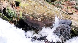 Natural video 113