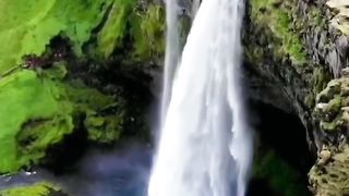 Natural video 114