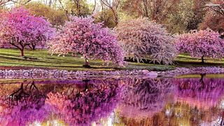 Meditation, relaxation and stress relief - Cultivate Inner Peace: Embrace Daily Relaxation