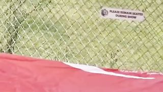 how tigers attack