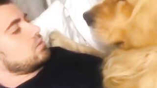 cute dogs