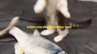 Funny meme 12