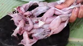Catch And Cook Frog
