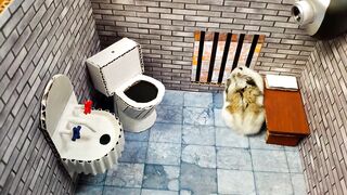????Hamster escapes the awesome maze for Pets in real life ???? in Hamster stories Part 2