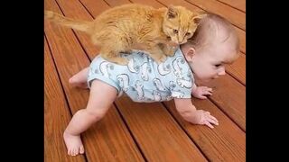 Funniest Animals