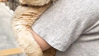 So cute