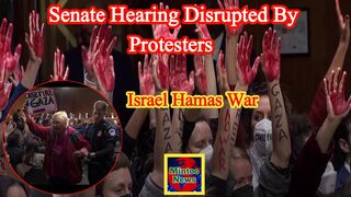 Anti-war protesters disrupt US Senate hearing