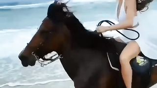 Beautiful girl riding on horse