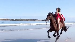 Equestrian Dreams: Tales of a Riding Girl
