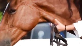 Hooves and Heartbeats: A Girl's Riding Journey