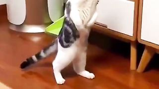 搞笑视频 107