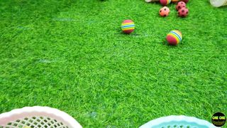 Experimento Rockstor, Pororo, Bola en el Inodoro # 004
