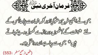 اسلامی معلومات 547
