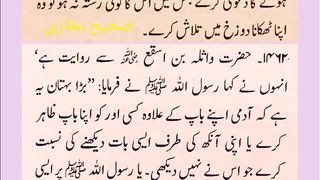 اسلامی معلومات 544