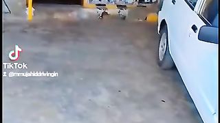 driving 3