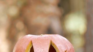 Tricks,treats and terroirs : halloween spécial