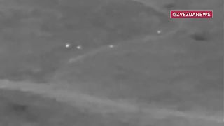 Ukraine Russia War | Russian Artillery Shells Ukrainian Positions near Kleshcheevka | RCF