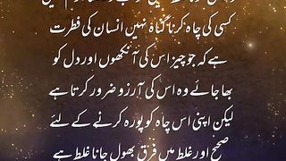 SuChi bat