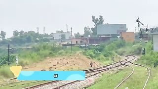 RARE Scenes Video