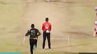 Cricket lover 10
