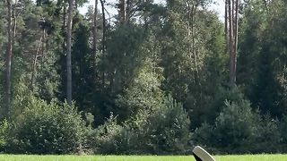 ноги на траве