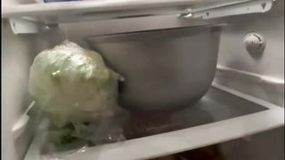 Le frigo est plein de manger