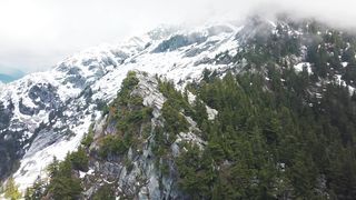 Natural beauty relaxing mind video
