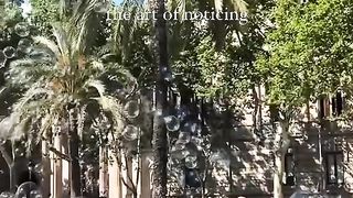 solo traveling through live