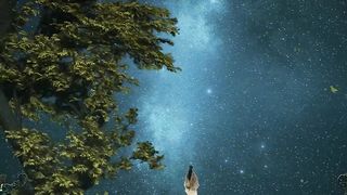 The sky, the sea, the moonlight