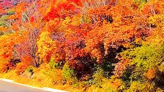 Autumn is beautiful