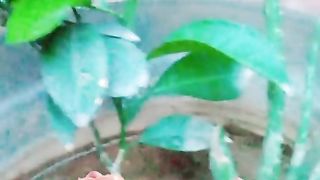 Green plant