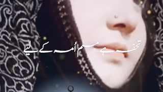 Status by Shaista Adil 3