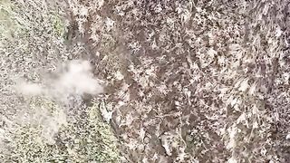 Ukraine Russia War | 30th Brigade's Airstrike Reveals Devastation Near Bakhmut | Nov 2023 | RCF