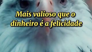 Nunca desista 10