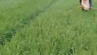Pupuk Booster Baha614
