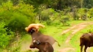Action movies  trailer 2024