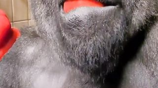 Action movies trailer 2024 2