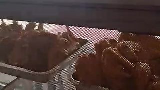 Bebek dan ayam kampung masbudi