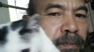 my pet cat