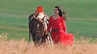 Sure, here's a Harmony in Hooves: The Girl and Her Equine Companion