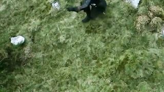 Action movies scene 2024 2