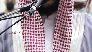 Surah Al Qalam Urdu Translation.