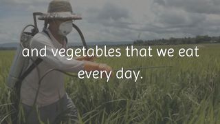 how to clean and remove pesticides from your fruits and vegetables