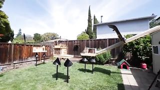 Backyard Squirrel Maze 2.0- The Walnut Heist - Mark Rober